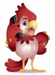 7465168-talking-parrot-over-cellphone