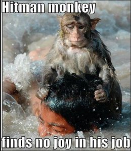 hitman monkey