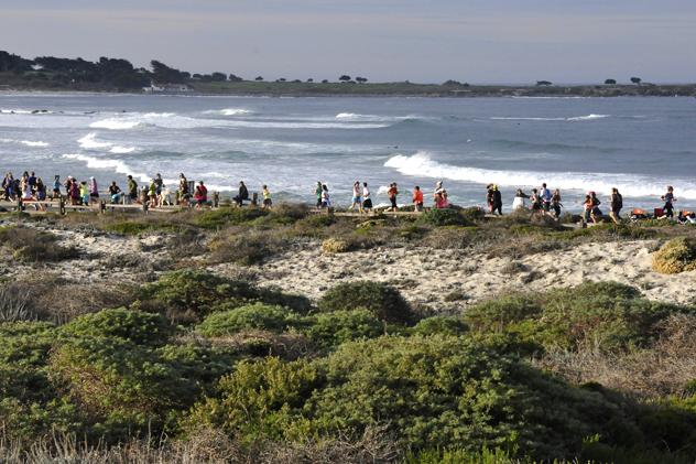 Picture from : http://www.bigsurhalfmarathon.org/