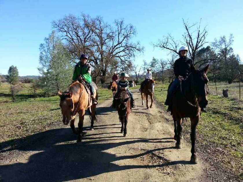 Tumbling in with the horses