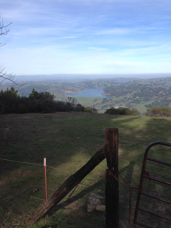 Can I see dinosaurs?