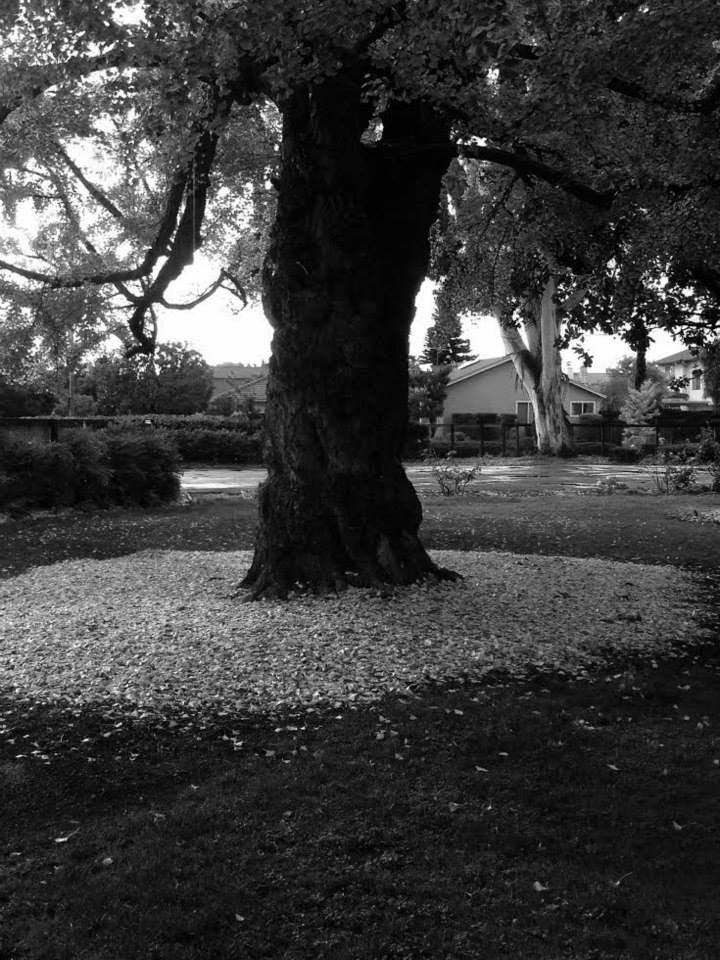 There is no power on Earth that can neutralize the influence of a high, simple and useful life. - Booker. T. Washington