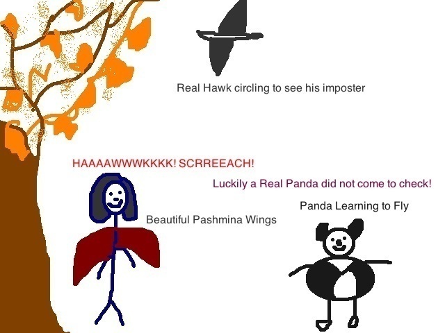 Hawk_Panda