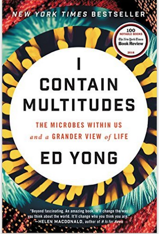 screen-shot-2017-02-20-at-1-04-57-am