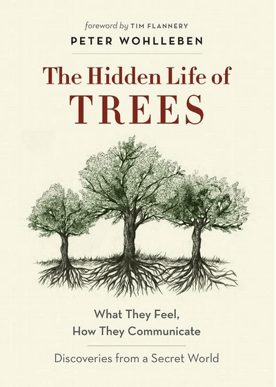 Screen Shot 2017-03-14 at 8.59.19 AM