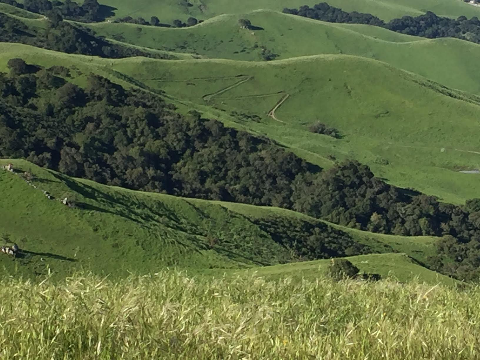 hills