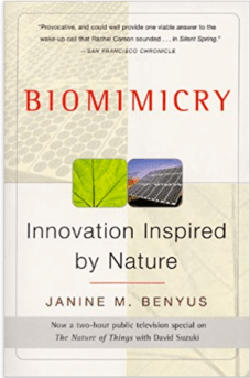 Screen Shot 2017-06-02 at 9.37.17 AM