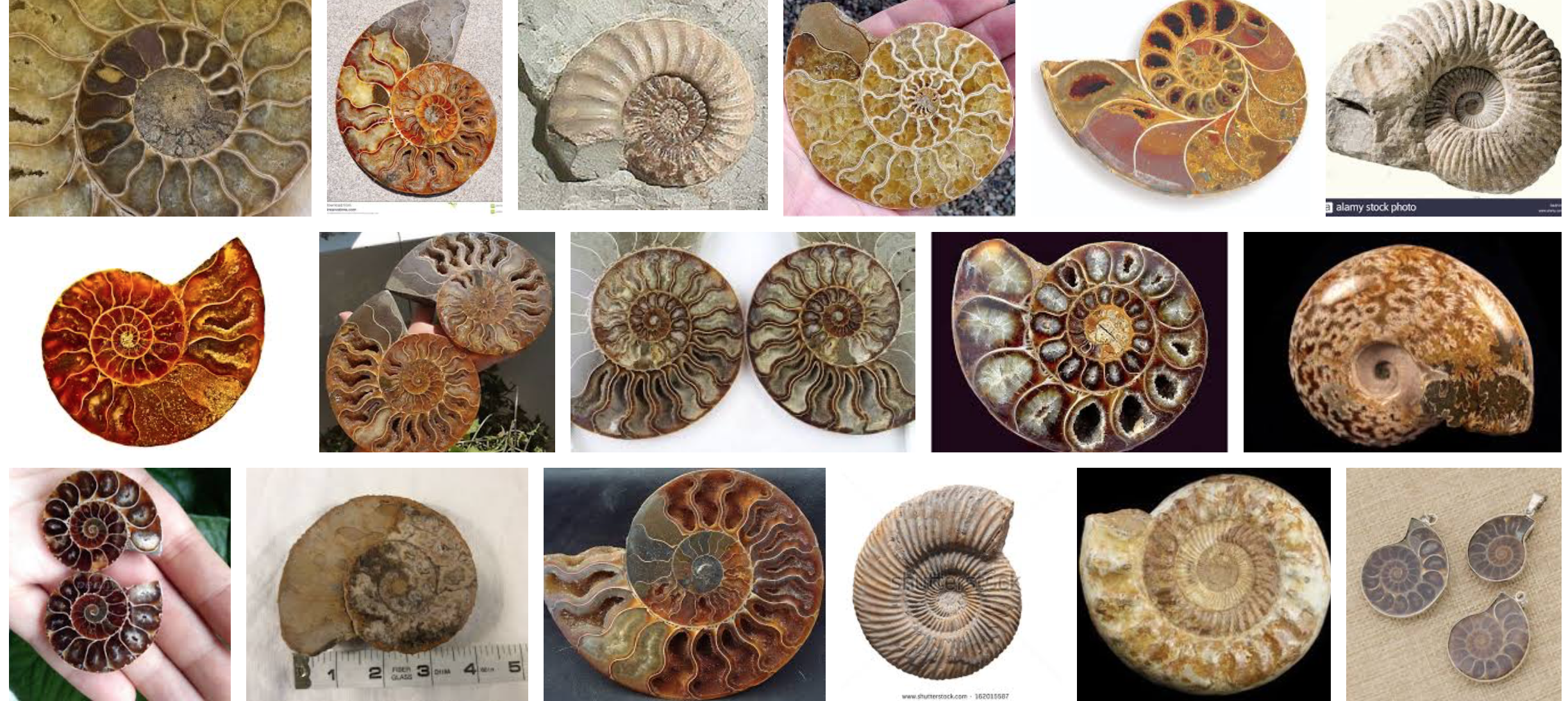 Screen Shot 2018-03-22 at 9.10.28 AM