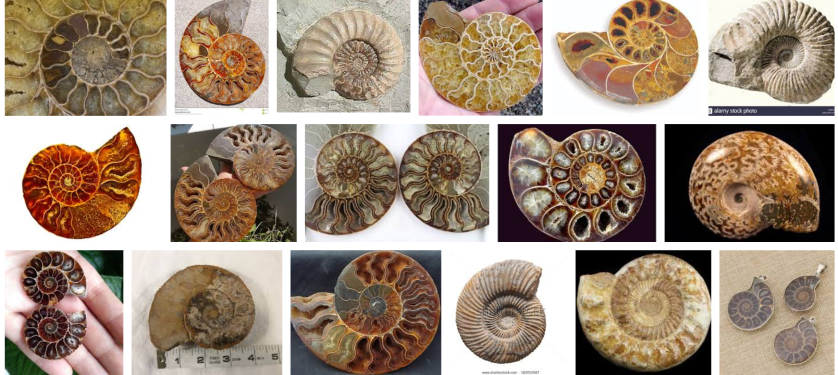 Screen Shot 2018-03-22 at 9.10.28 AM