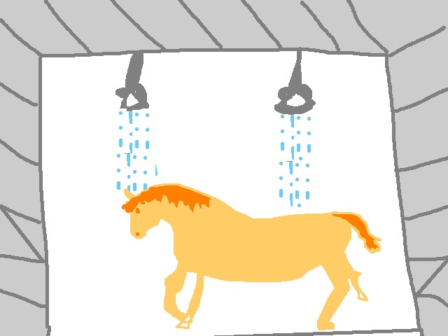 horse_shower.jpg