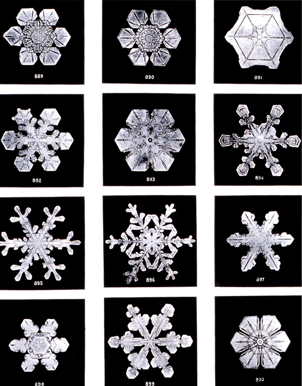 Wilson Bentley's Snowflake Images