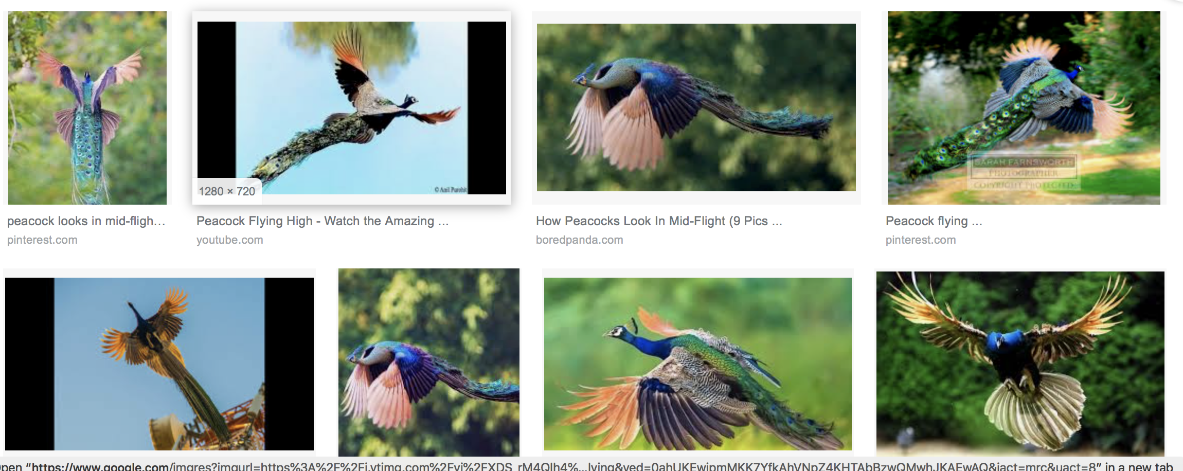 Screen Shot 2019-08-16 at 9.52.43 AM.png