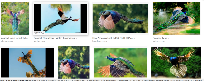 Screen Shot 2019-08-16 at 9.52.43 AM.png