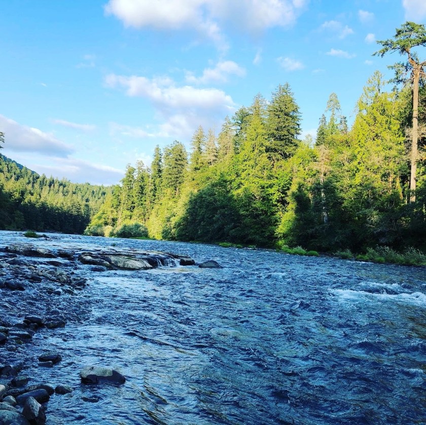 573252dd-bd39-49aa-bedf-4b94622d146a