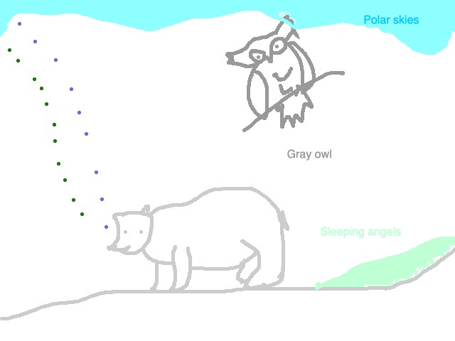 owls_polar_bears