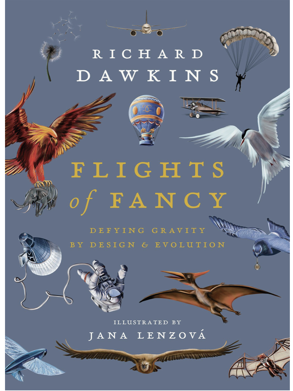 Screen Shot 2023-02-24 at 11.41.25 AM