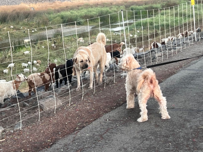 5E935F80-BB6D-40C3-8DE6-667BFCC5A791