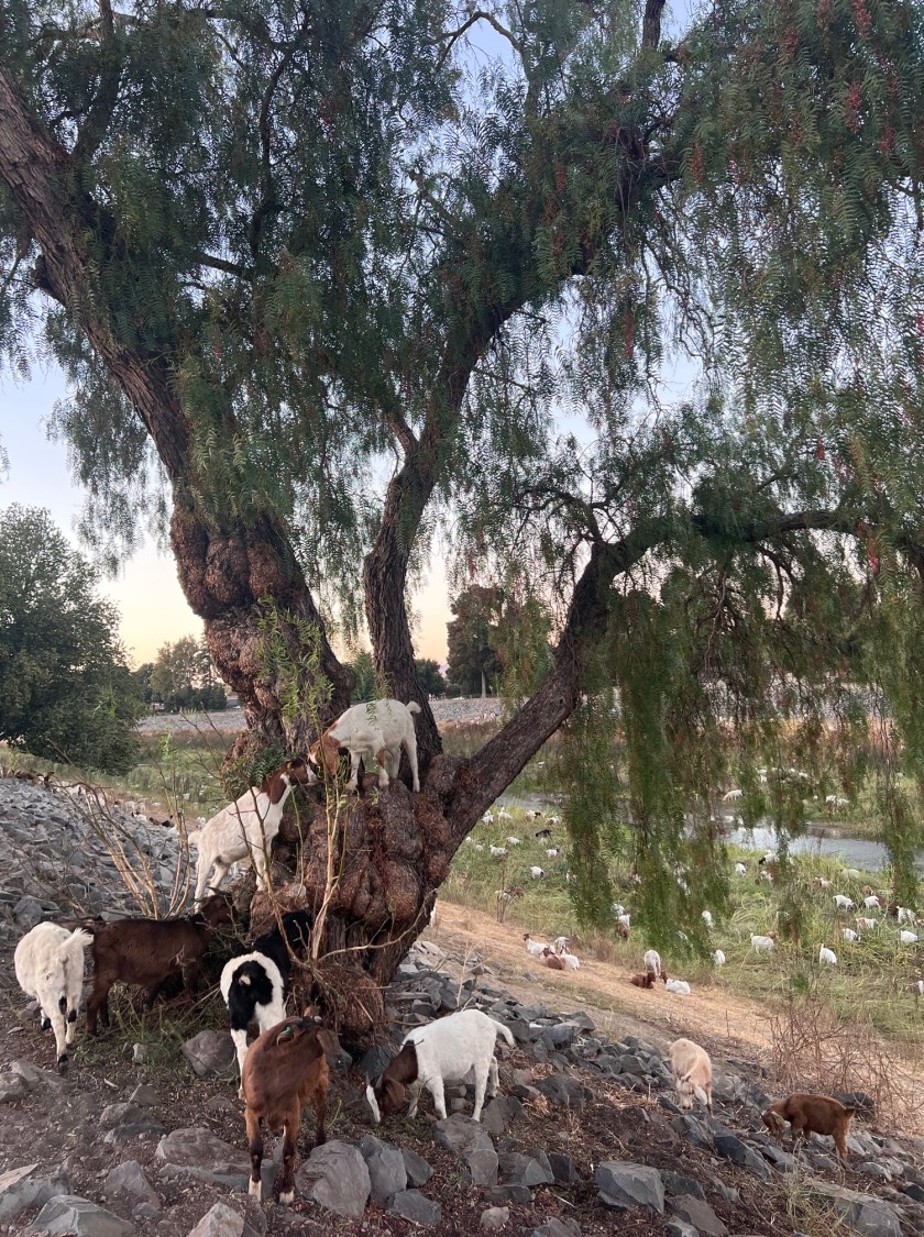 75AA2498-E9FE-4C9F-B211-BFFB9F499459