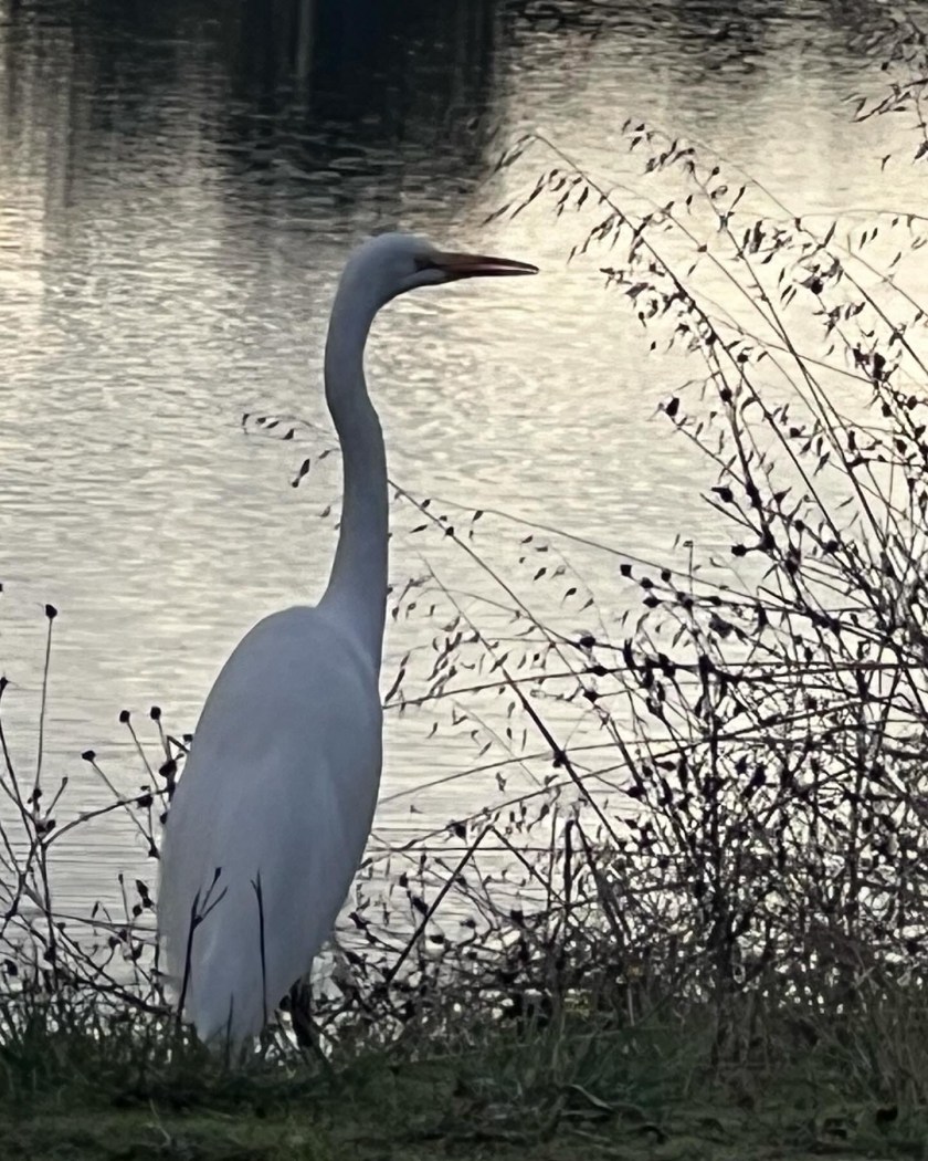 cd3693d5-3eaa-4d3b-ab97-d7c865de8707