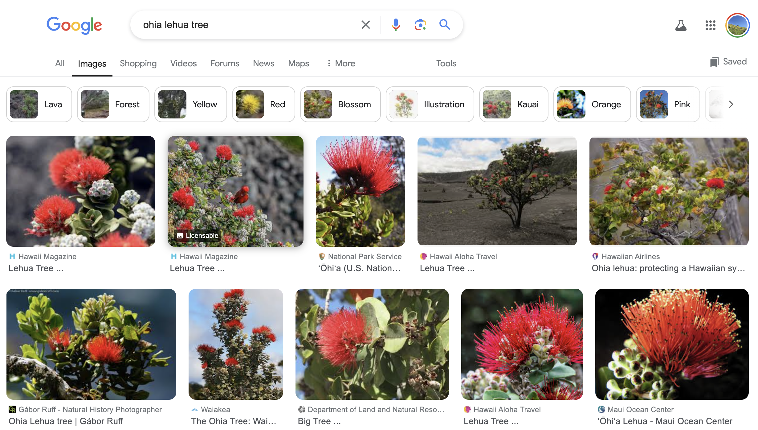 Screenshot 2024-09-12 at 4.56.11 PM